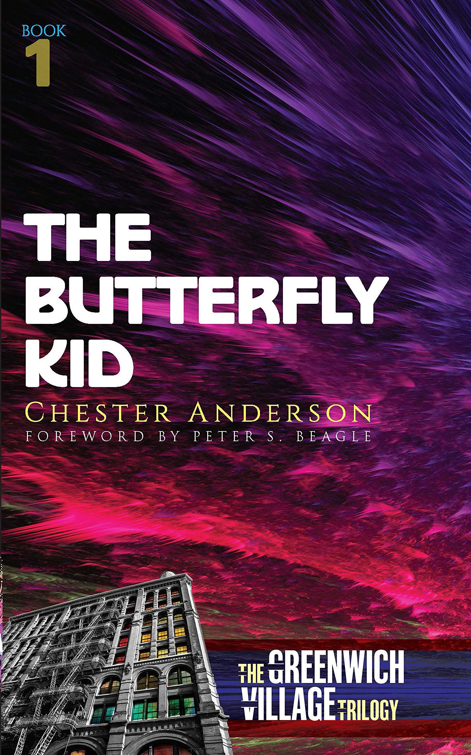 the-butterfly-kid-2a